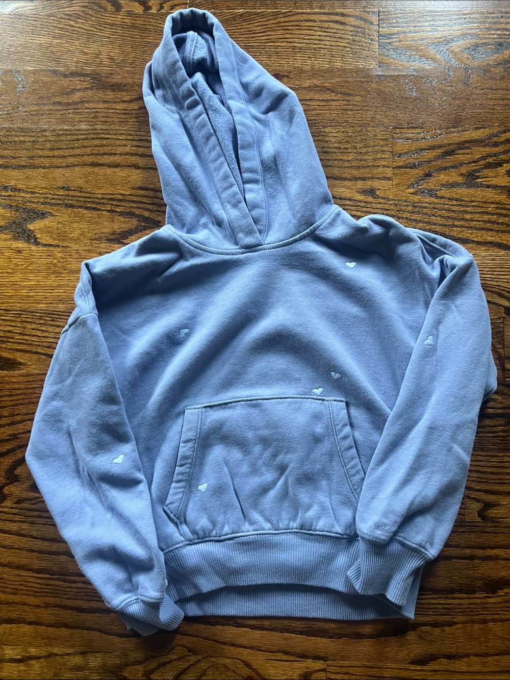 abercrombie kids Light purple Hooded Pullover